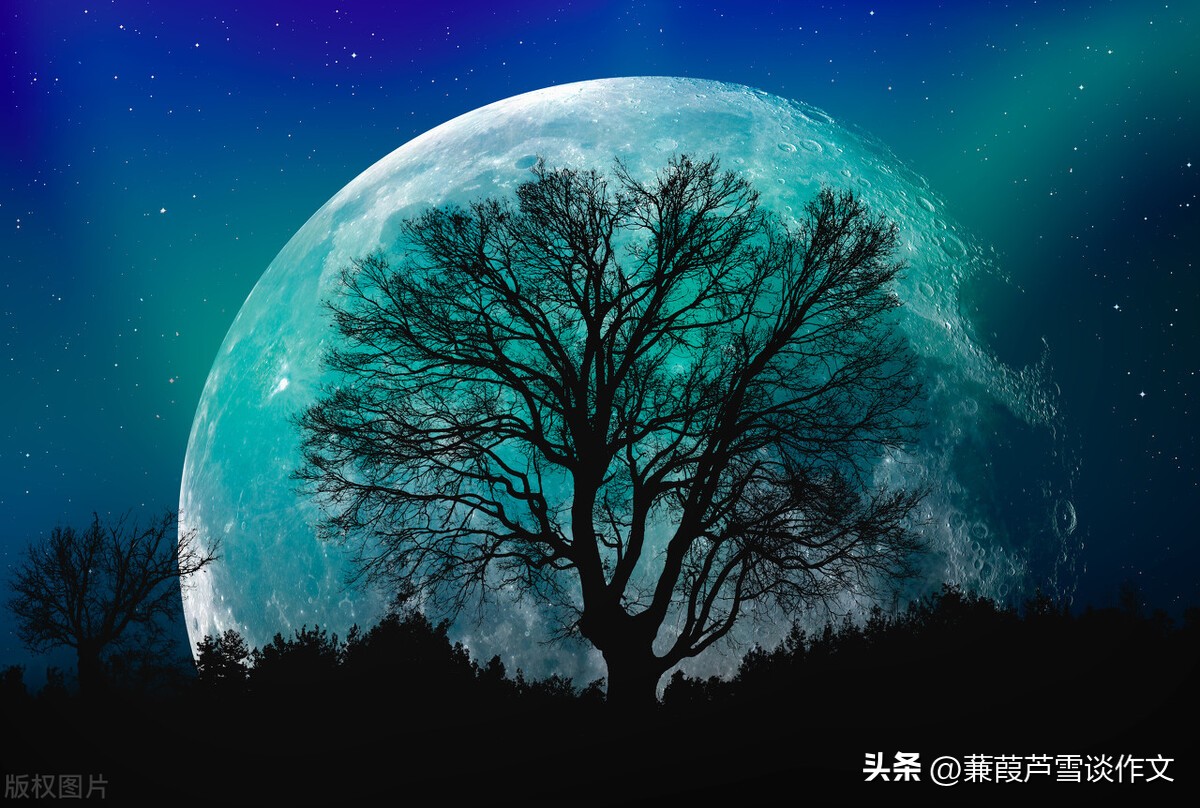 说明文，文艺范，好玩又好看——阿宝老师的“作文经”（二三八）