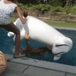 天地壹号醋,天地壹号是苹果醋还是陈醋