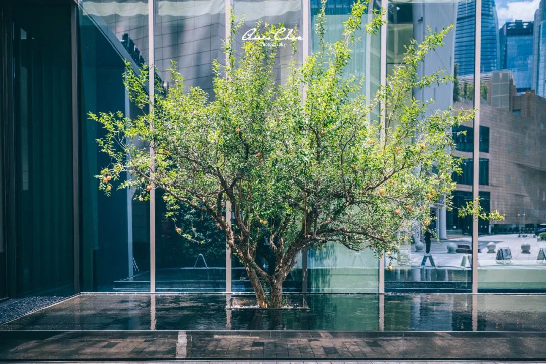 它是岭南花园的代表作，更是华南洲际的新旗舰