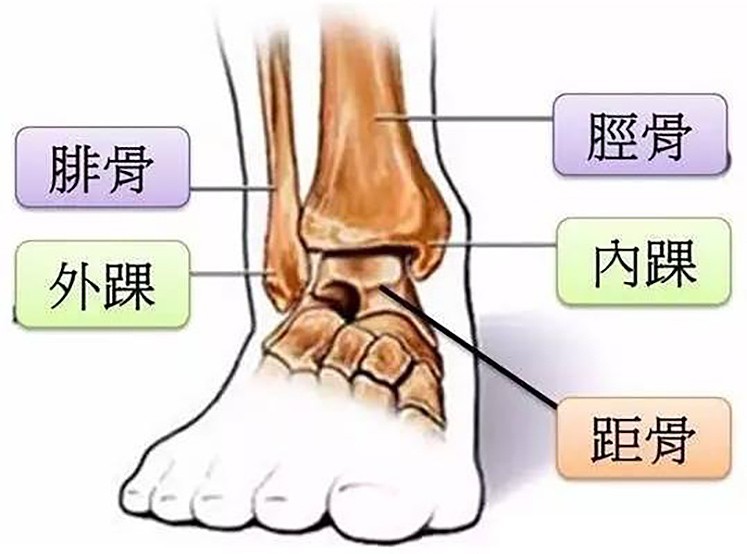 暴走鞋为什么不流行了,暴走鞋下架了吗