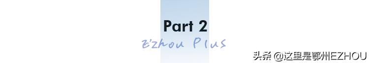 湖北鄂州油菜“吸睛”又“吸金”,北京中关村落户武汉