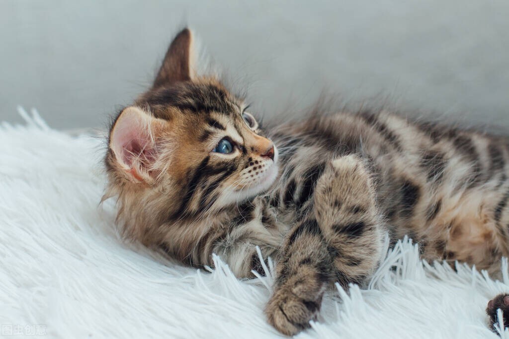 我拿命生下女儿,婆婆却把姑姐的孩子过继给我们,让人心寒