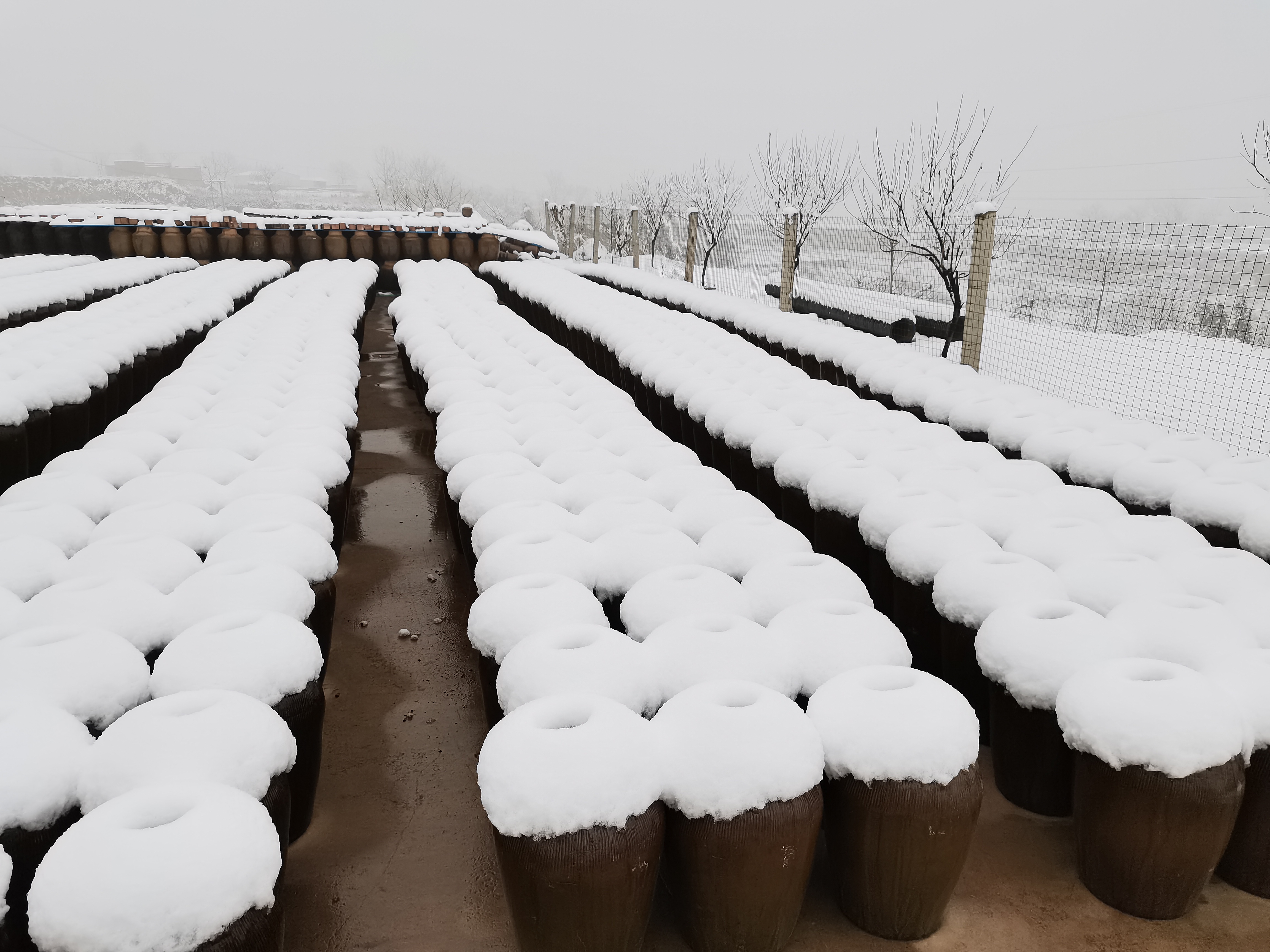 宋派：用美酒助力中华传统文化复兴