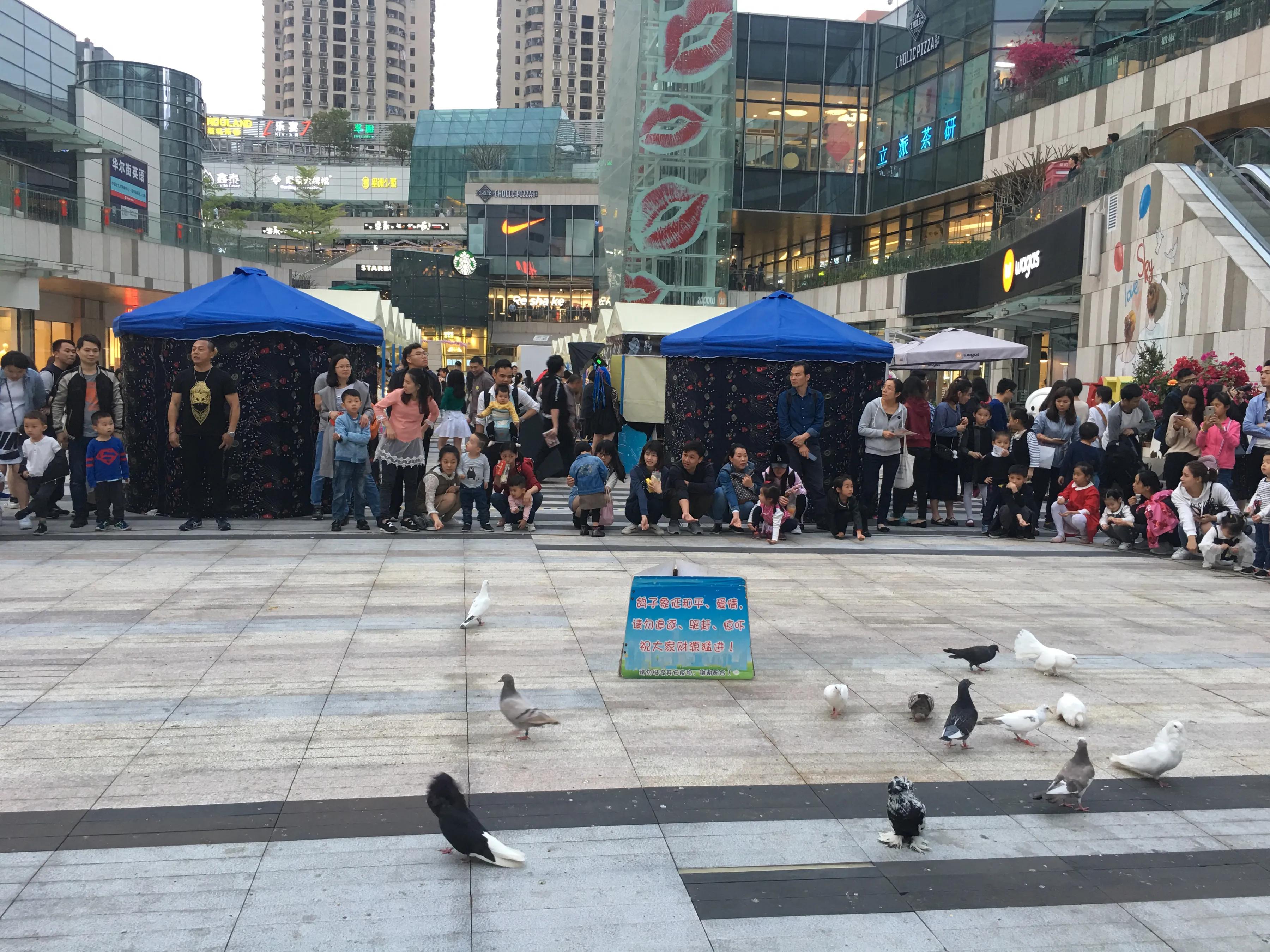 降龙十八掌炒股战法,一招学会炒股绝活