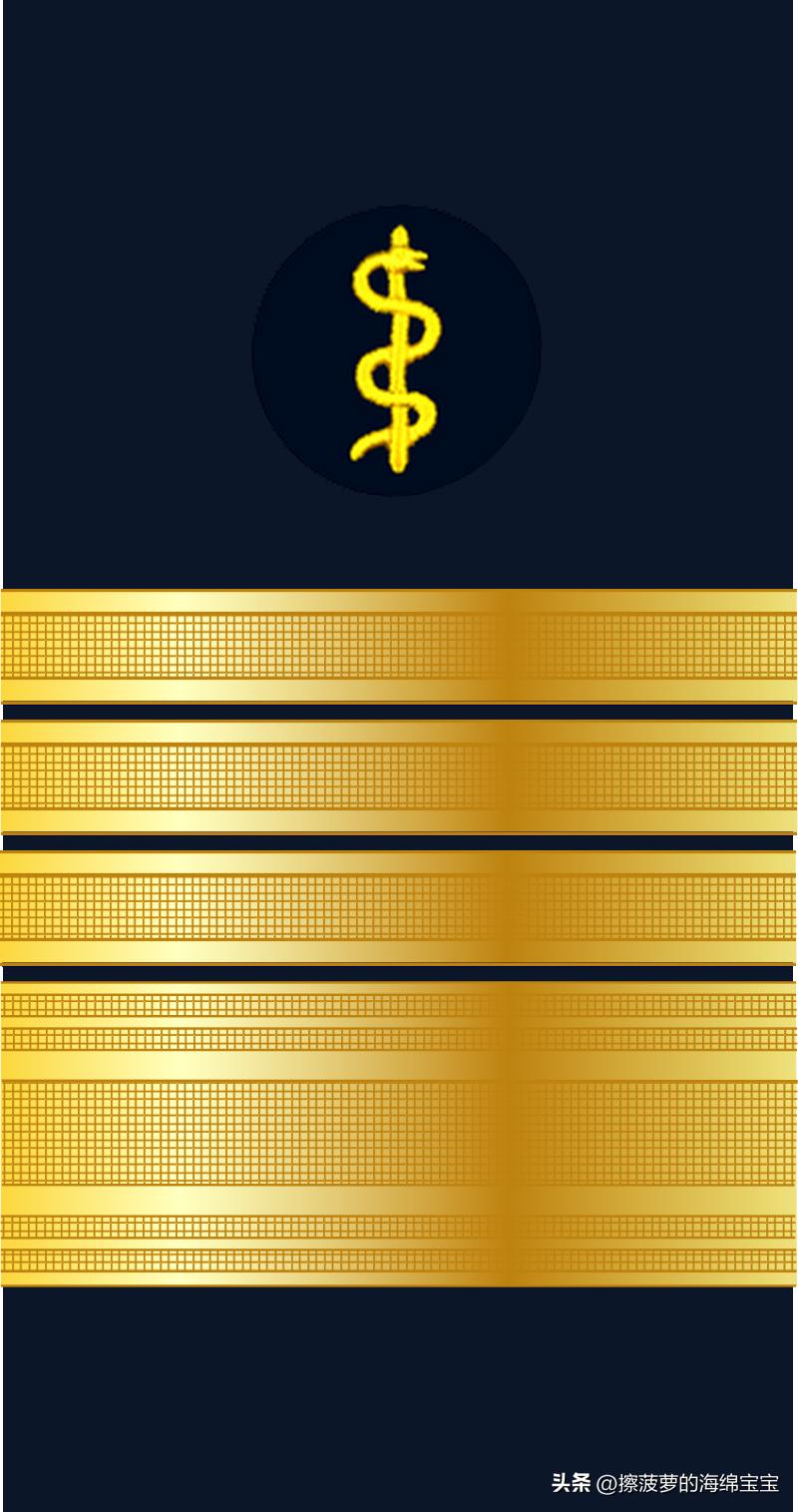 二战德国国防军医疗兵军衔标志