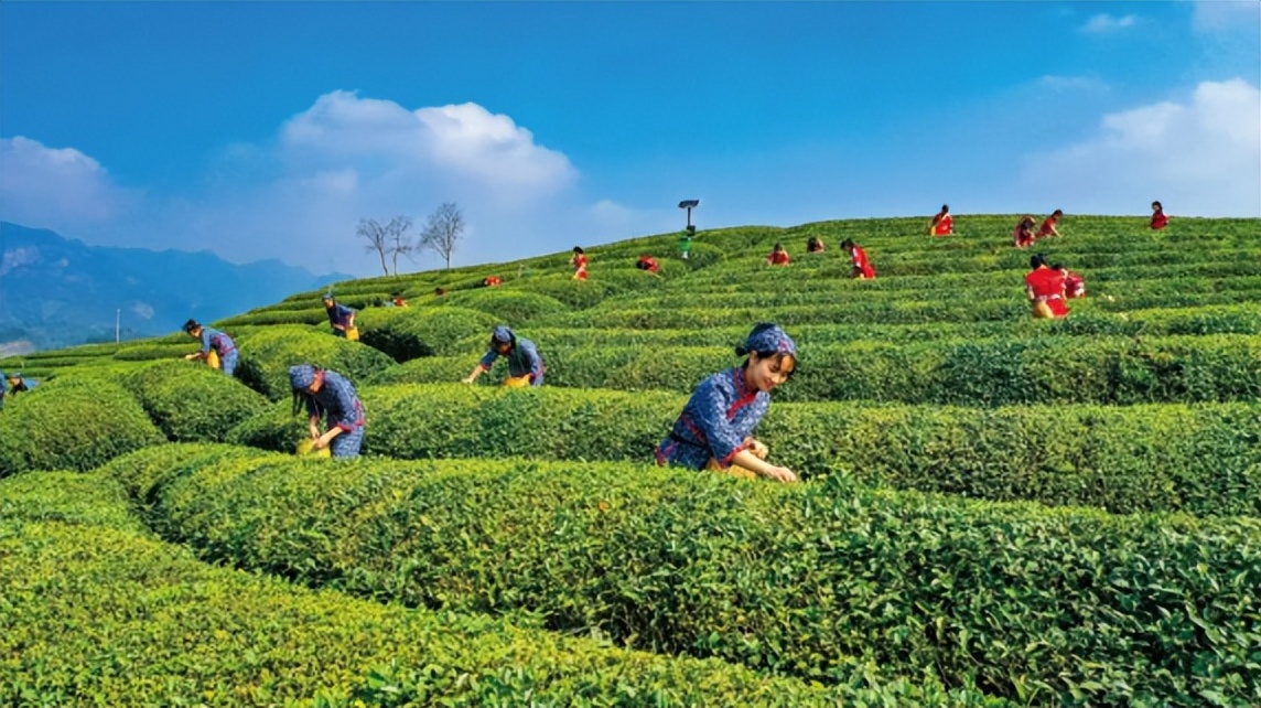 我国温室产业的发展历程,中国温室大棚发展前景图