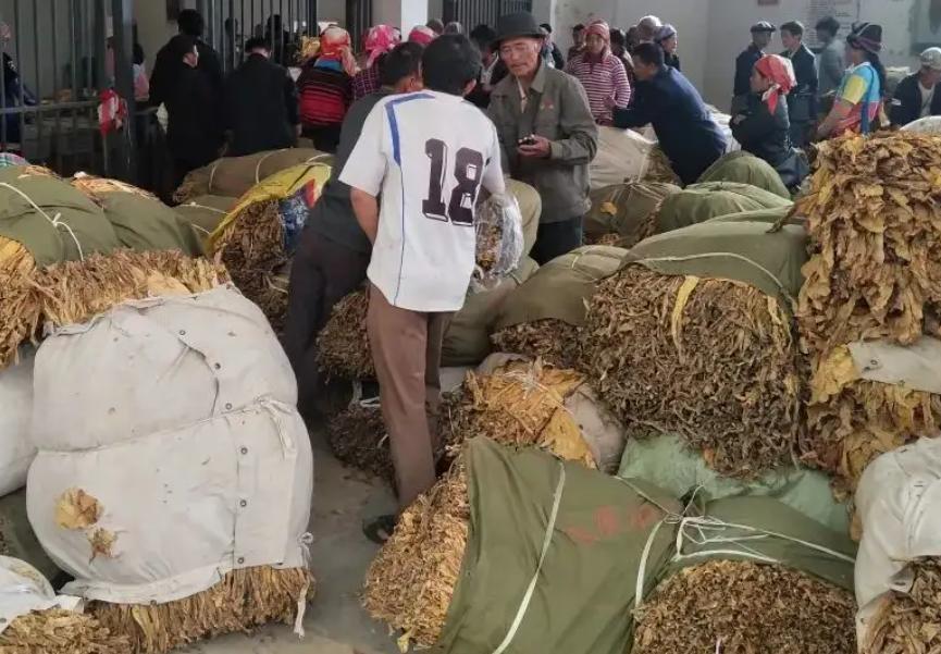 福建造假烟村,福建制造假烟的地方是哪里