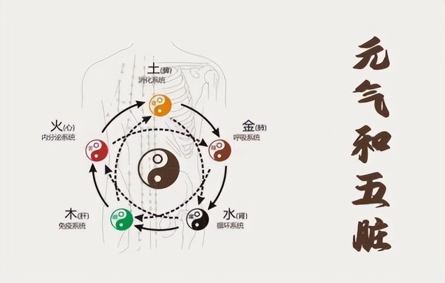 虚了如何快速补充元气,元气不足如何补元气