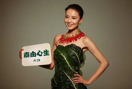 动物保护组织peta公益广告,peta保护动物