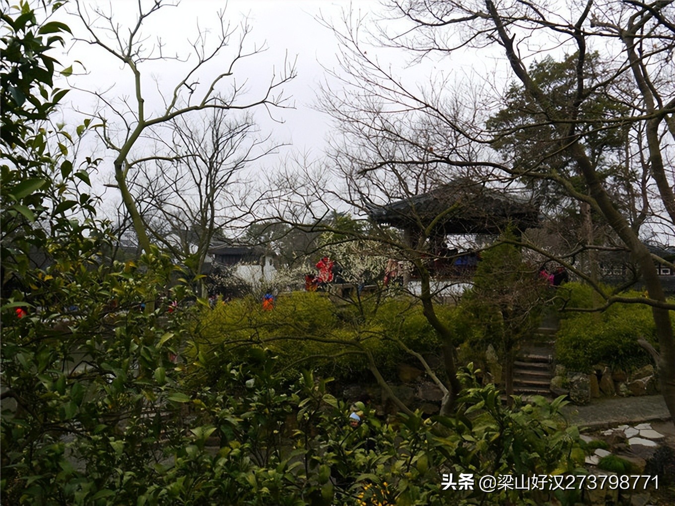 苏州园林的精品拙政园,苏州园林的拙政园故事