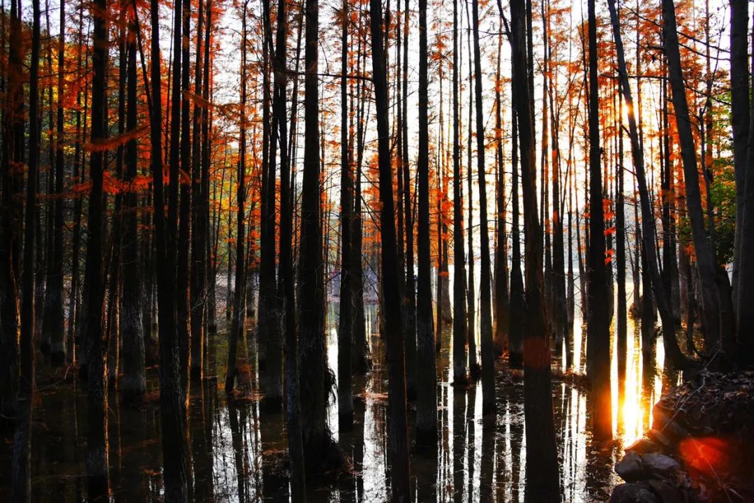 这个小县城藏了无数神仙美食,温州这座被低估的美食之城