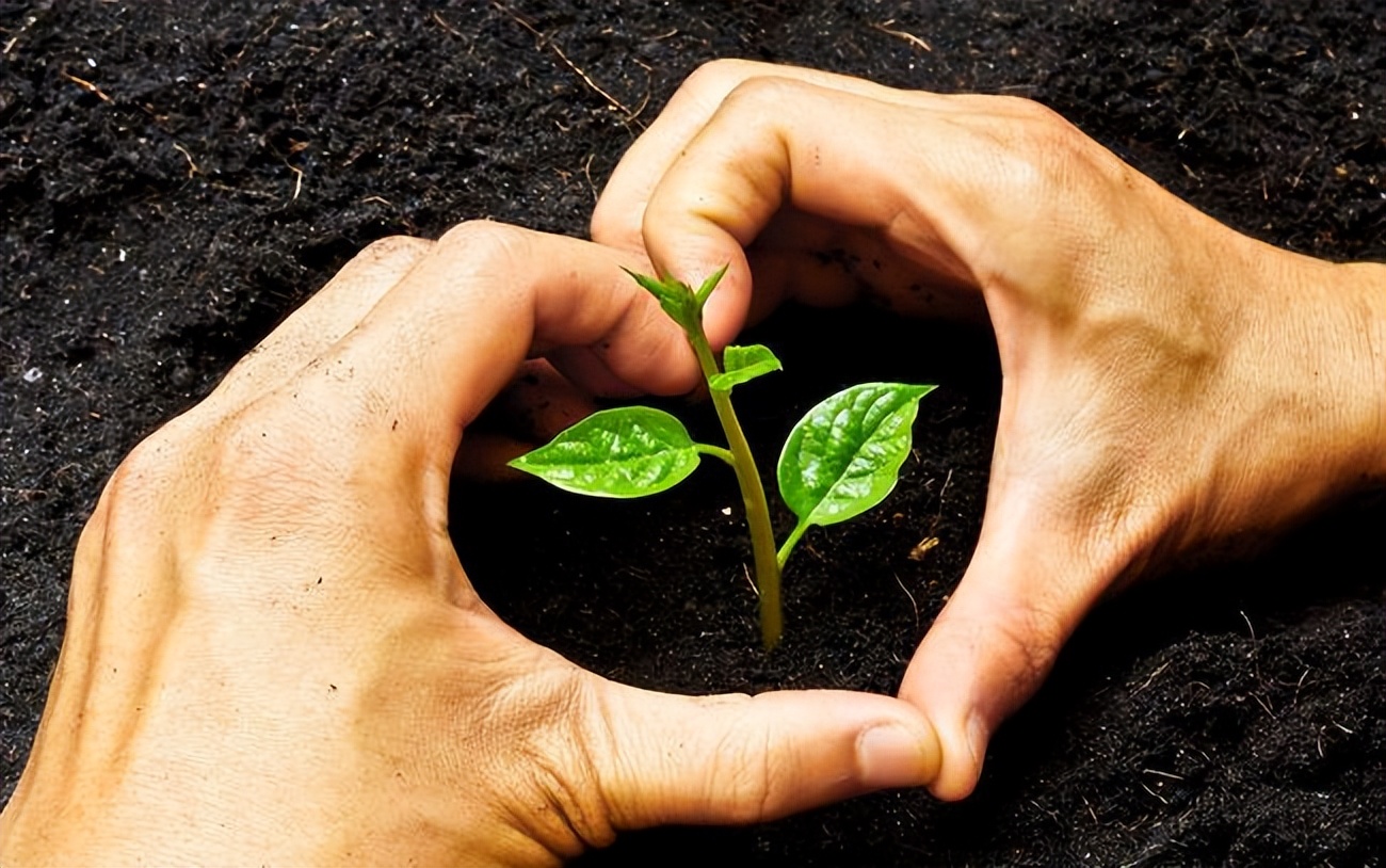 如果你的上司针对你应该如何应对,当你遇到心机很重的领导怎么办