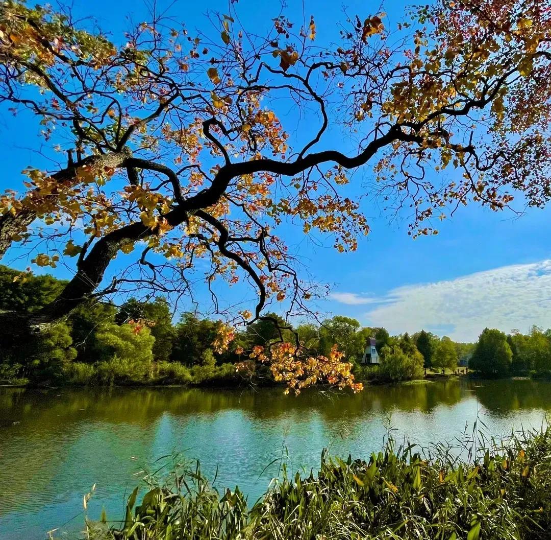 周易解读8,白话易经和易经有什么不同