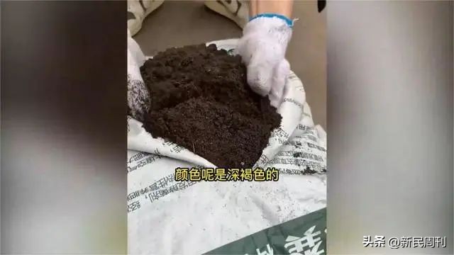 90后程序员卖羊粪直播间,29岁程序员辞职回家卖羊粪