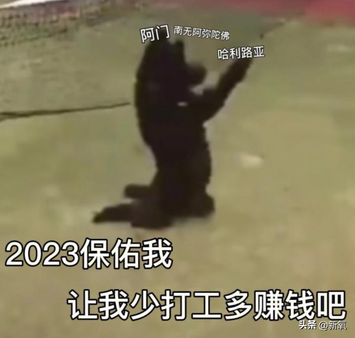 韩国女团服装又惹争议,韩国女团服装都是哪来的