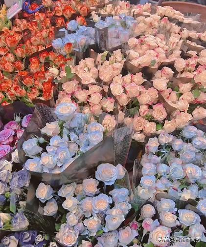 没有人能空手走出采摘园,无人能空手走出斗南花市