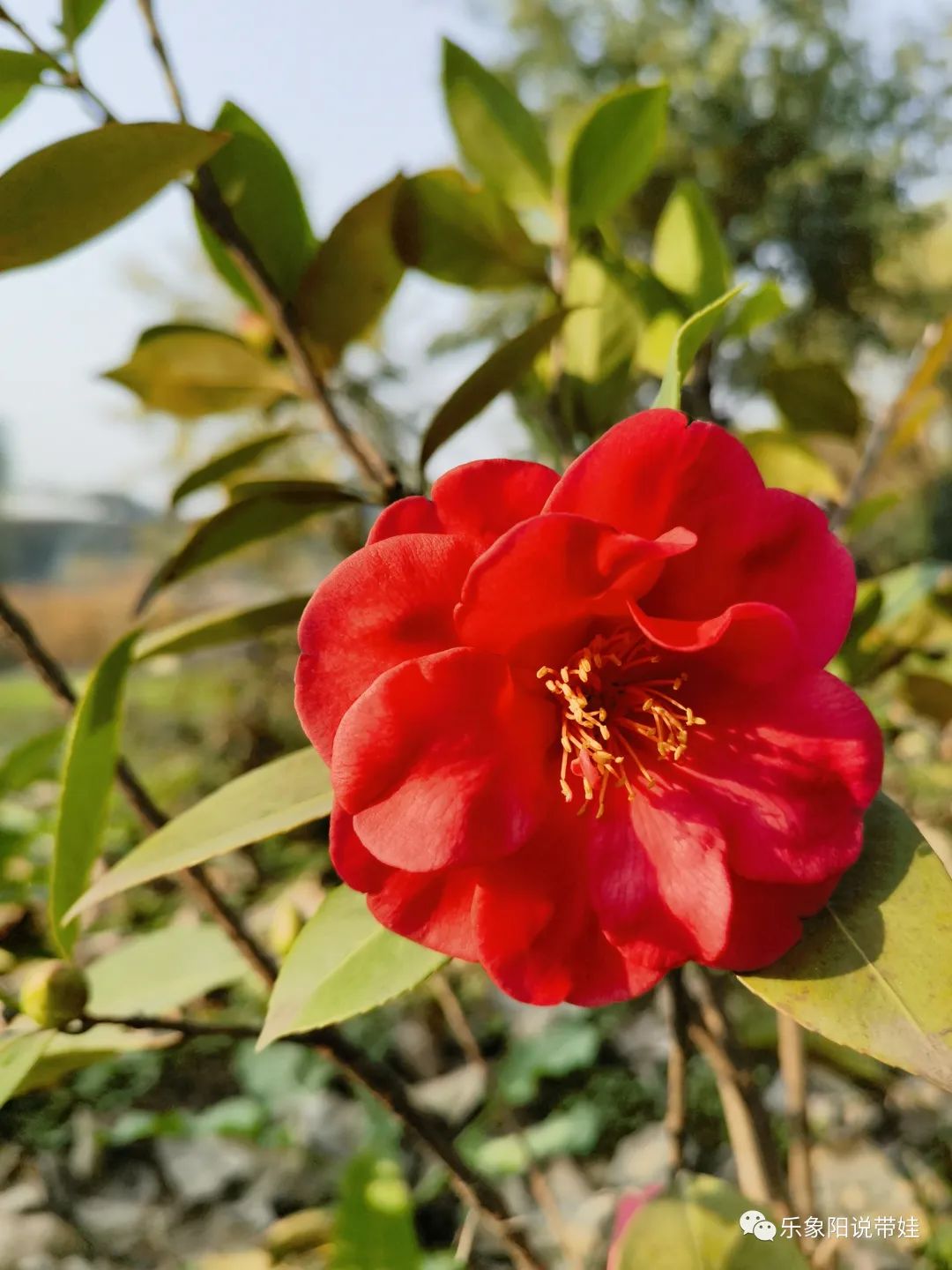 时间都去哪儿了小品完整版,时间都去哪儿了感悟