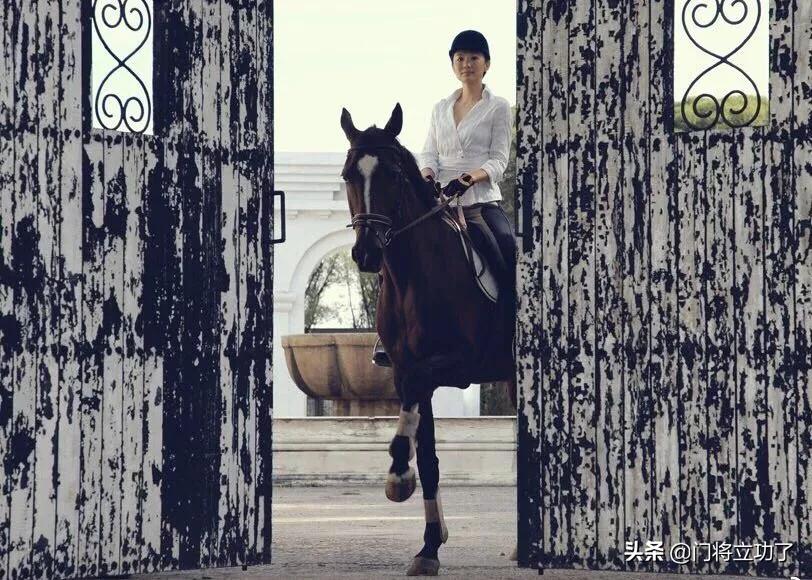 栾树王菲,咏梅栾树王菲