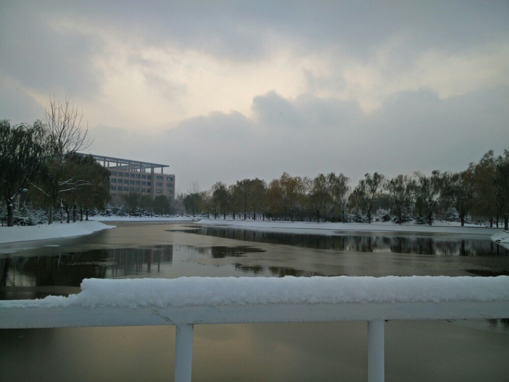 城市发展与高校高度契合,城市对于大学的重要性