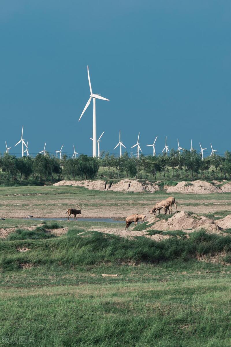 江苏唯一有山的城市,中国海拔最高的风景区