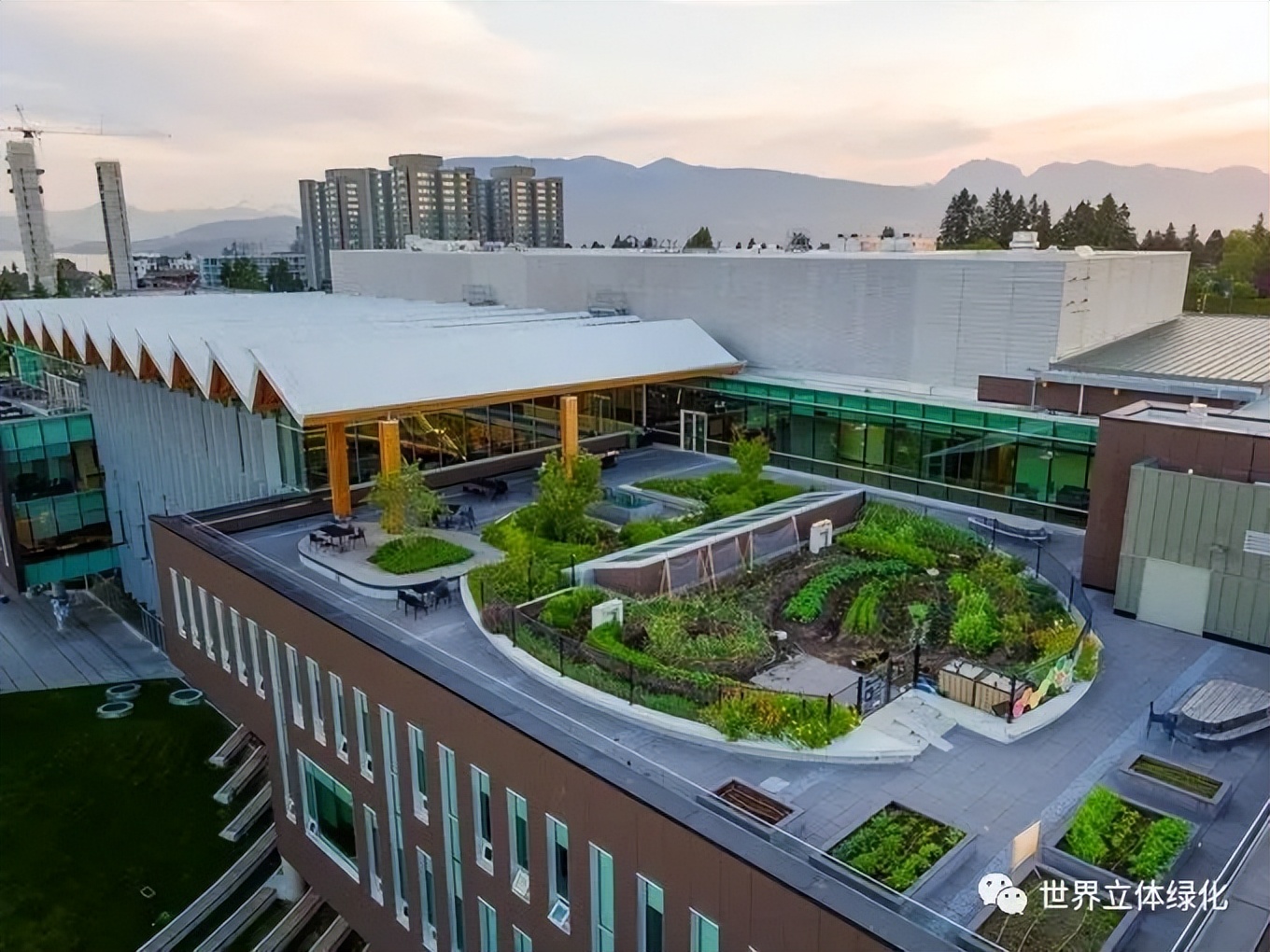 大学校园绿化设计,现代校园绿化规划设计