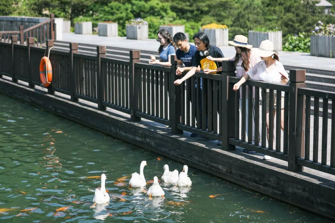 杭州临安大明山攻略,临安大明山游记