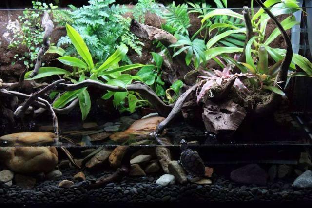 深水的深度解析,深水深度解析