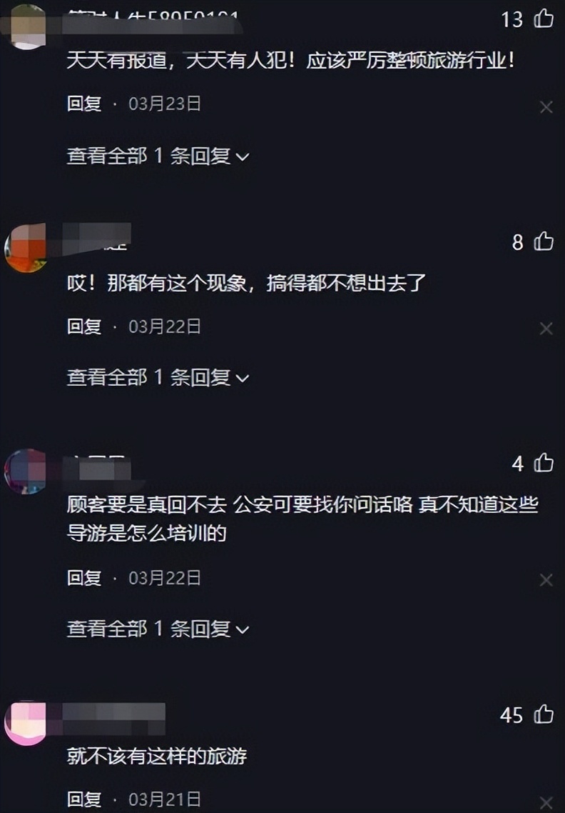 西双版纳导游骂游客,西双版纳导游骂游客后续