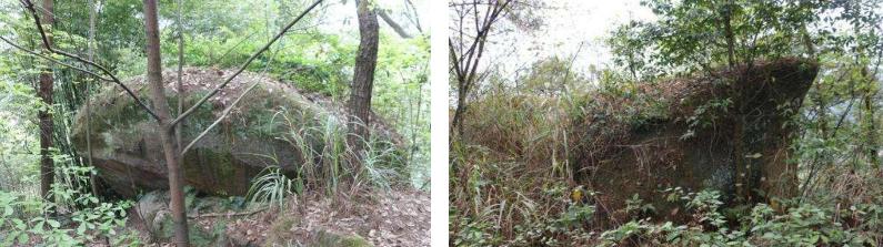 重庆故事20集,重庆往事真实故事