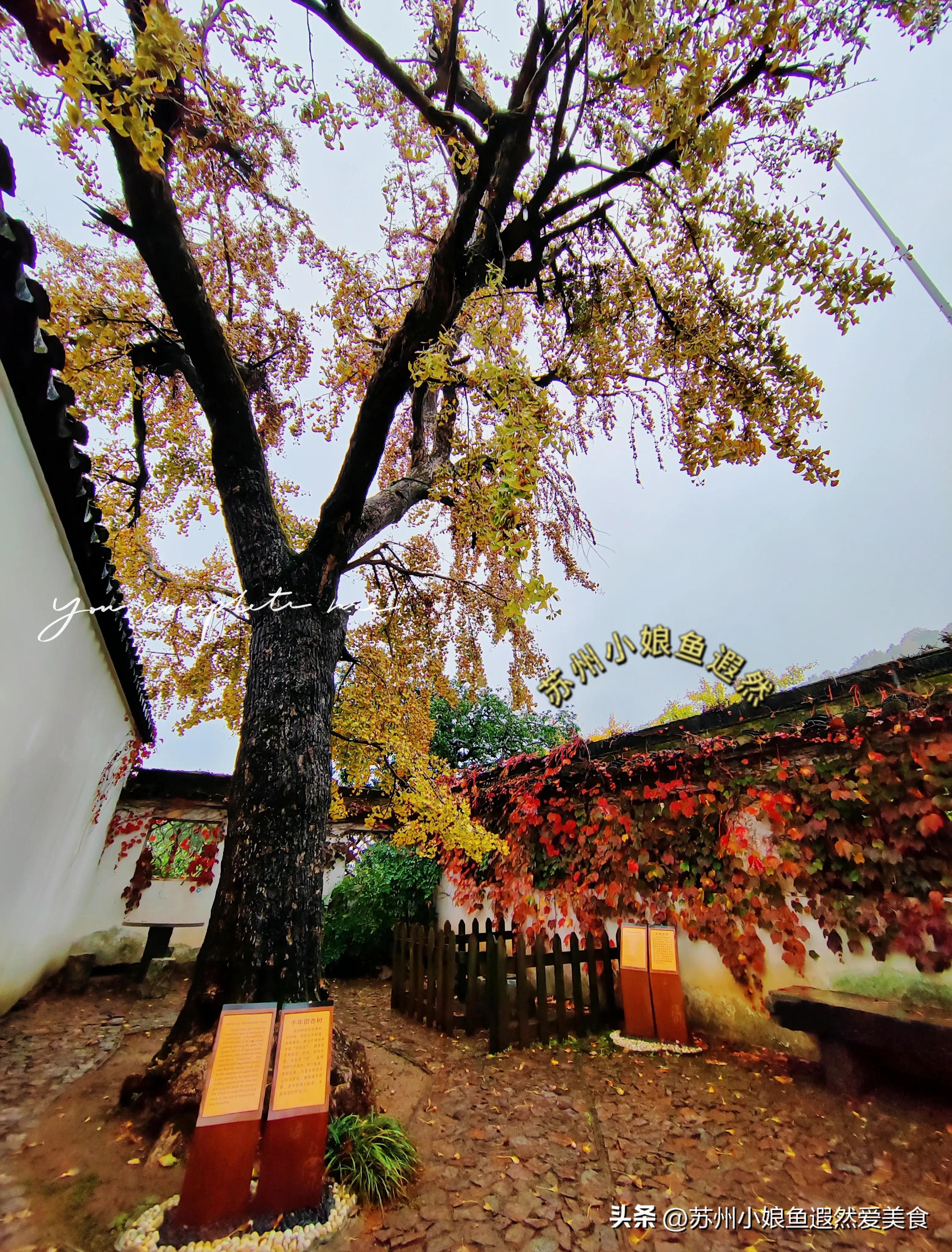 苏州古寨旅游攻略,苏州一日游攻略探索更好玩的景点