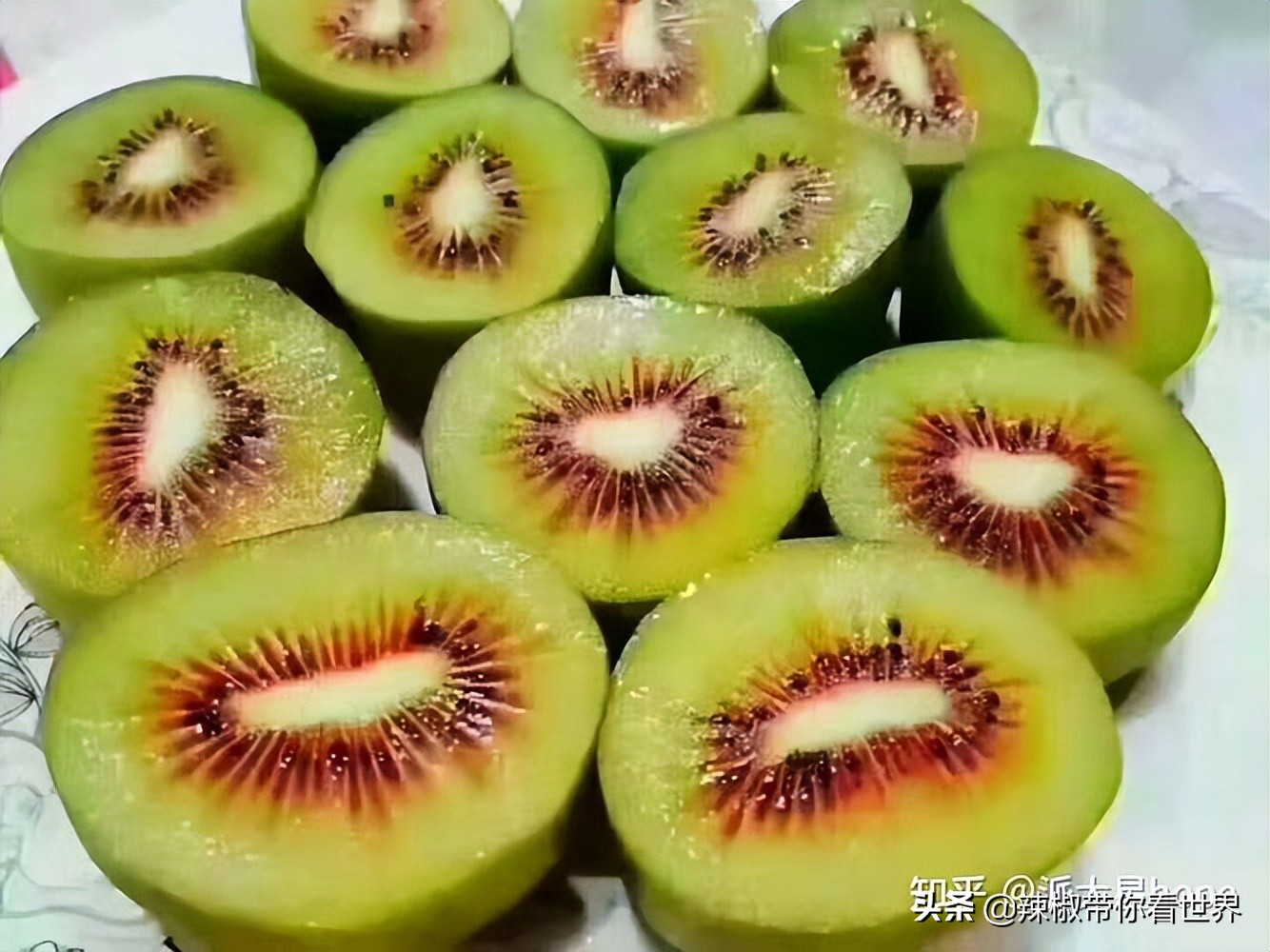 宁德大黄鱼之乡攻略,霞浦大黄鱼之乡图片