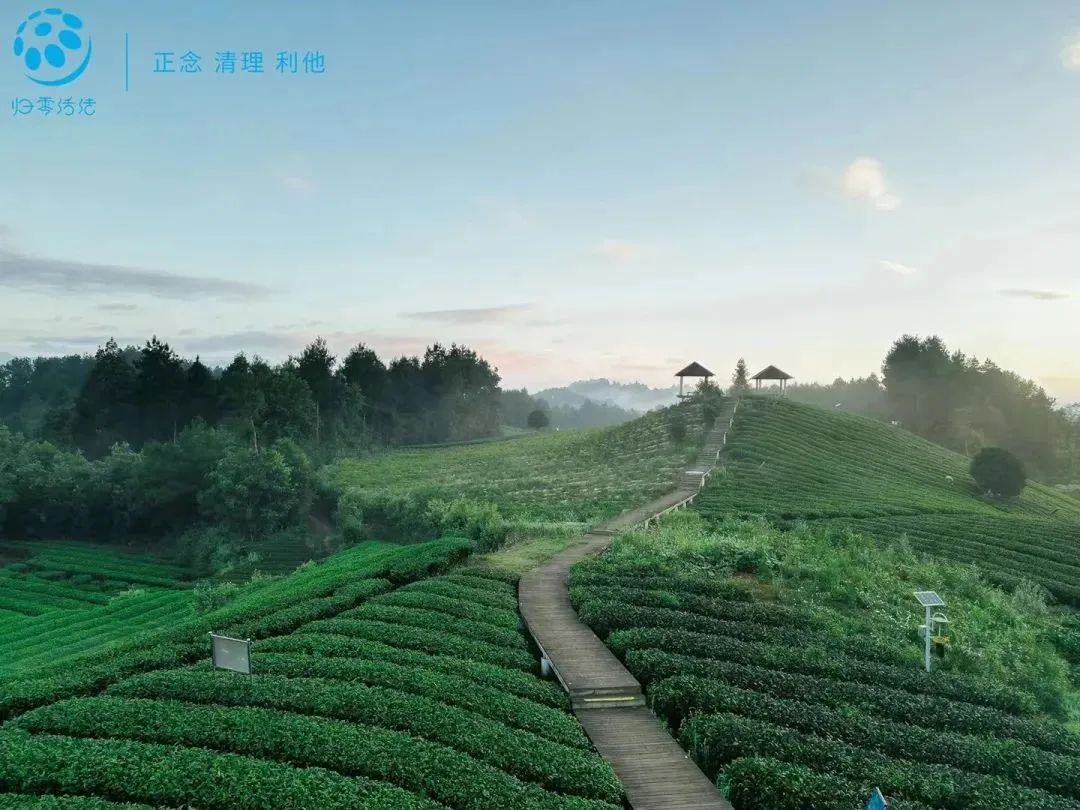 春节来光明“桥”见1958，寻找光明记忆