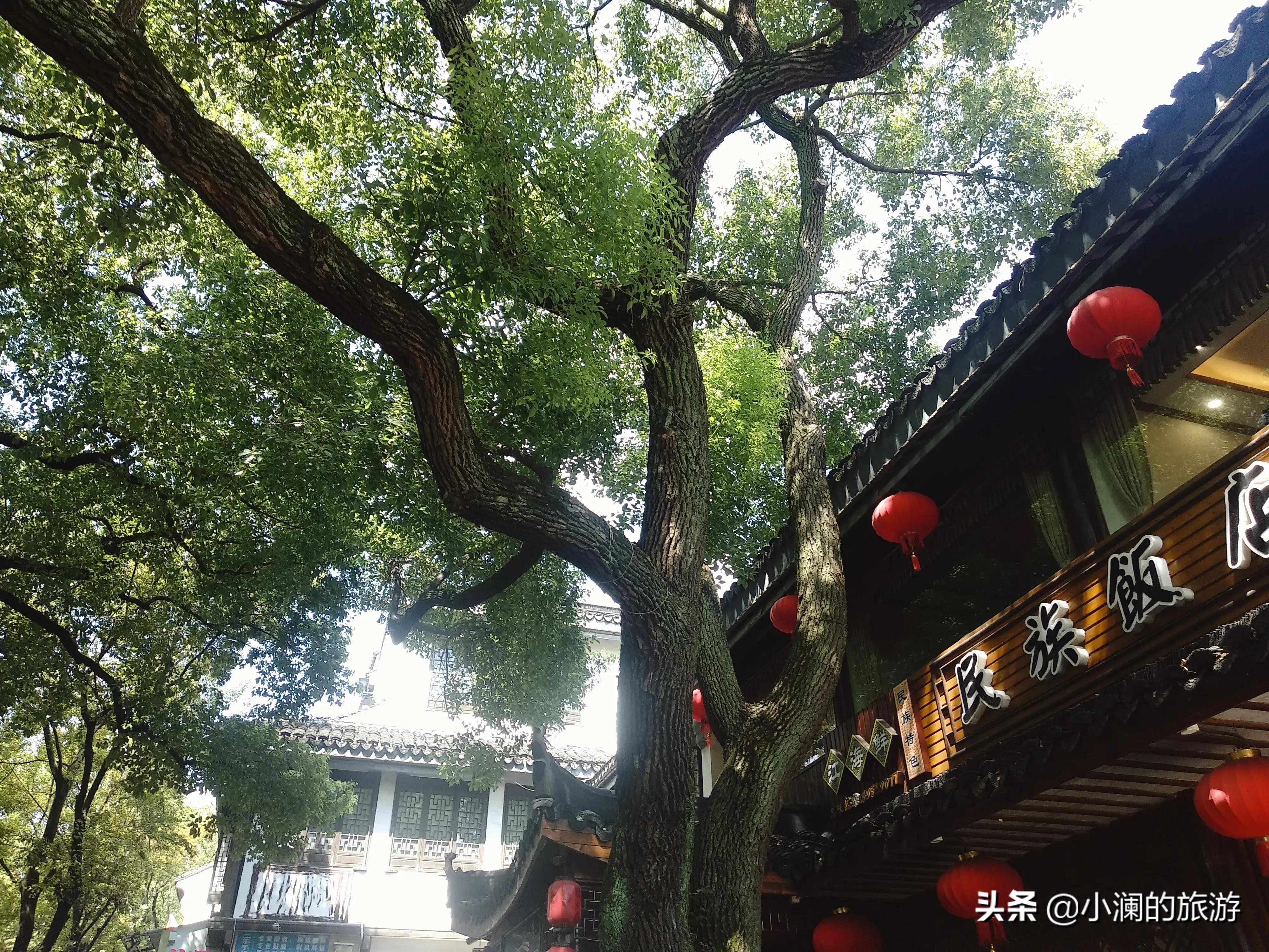 上海免费十大古镇景点排名,上海免费十大古镇景点推荐