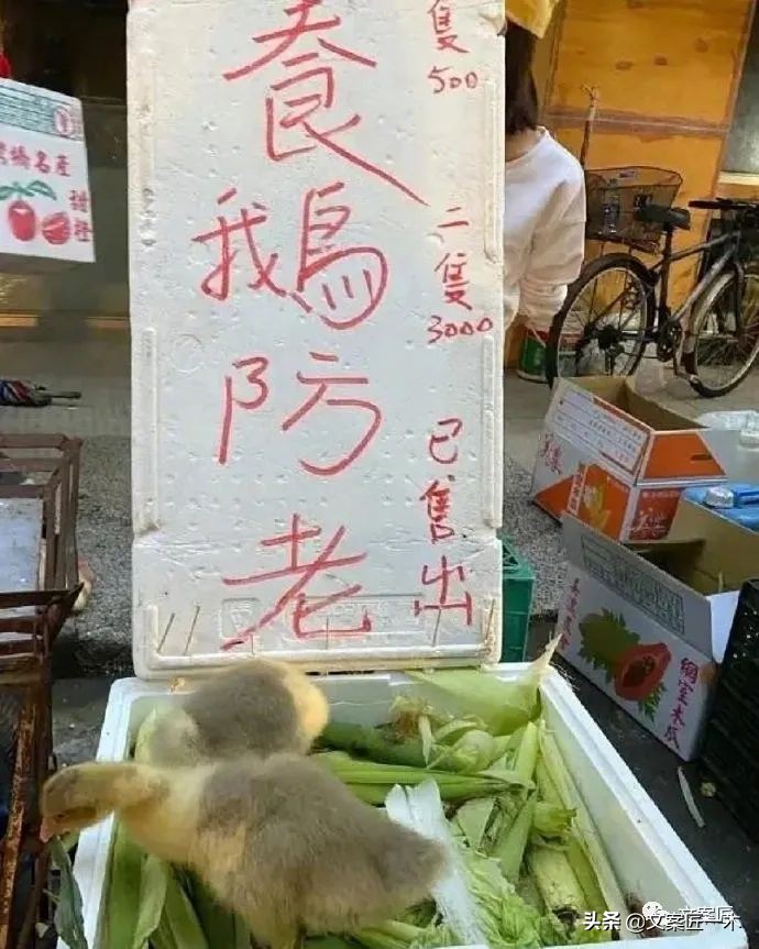 永远为有趣的商家心动，文案好会写