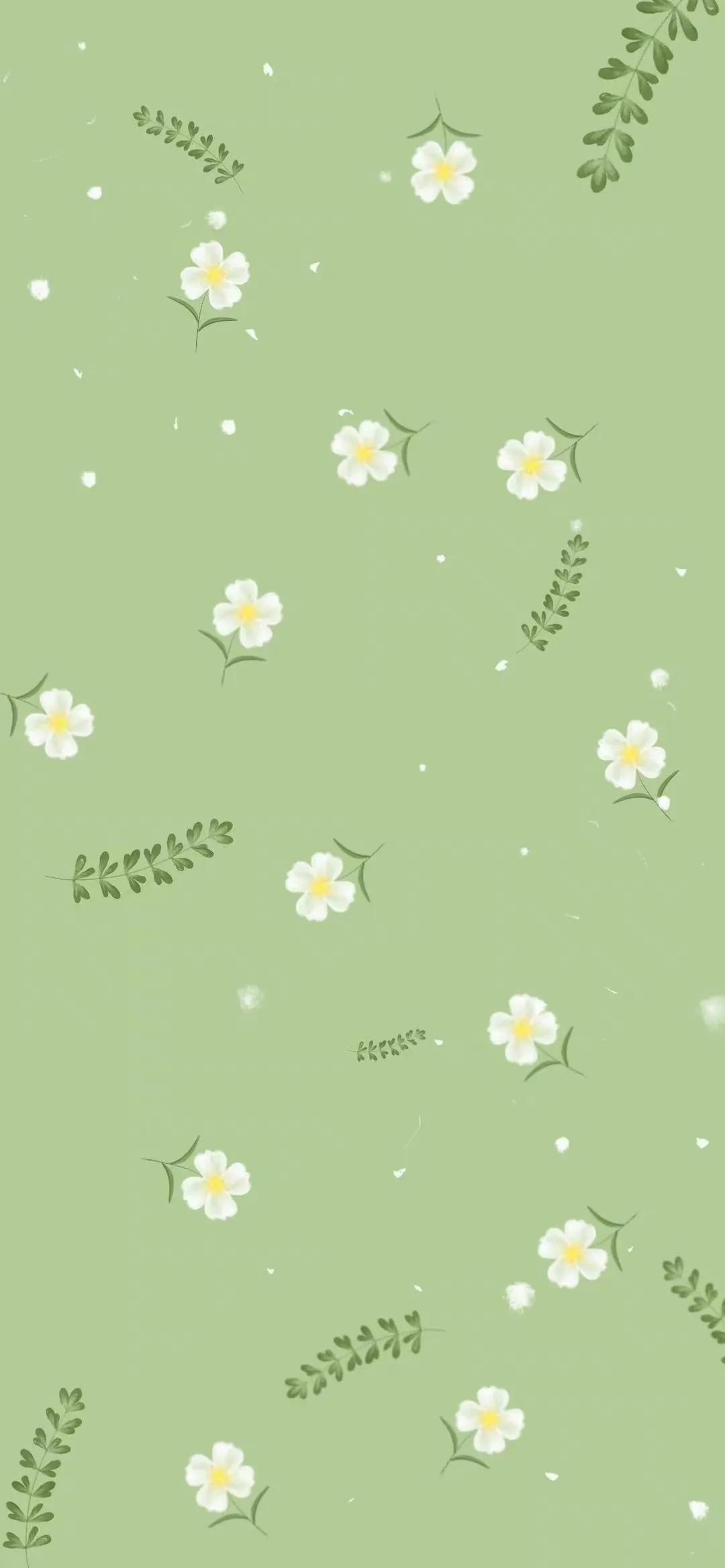 手机壁纸ins风夏日黑白,手机壁纸小清新绿色柠檬