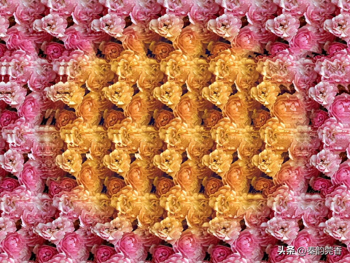 三维立体图怎么才能更快的看出来,怎么看三维立体图大全