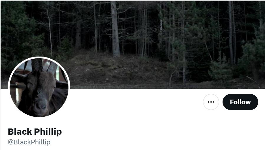 太火了，杨紫琼都没这浣熊有人气