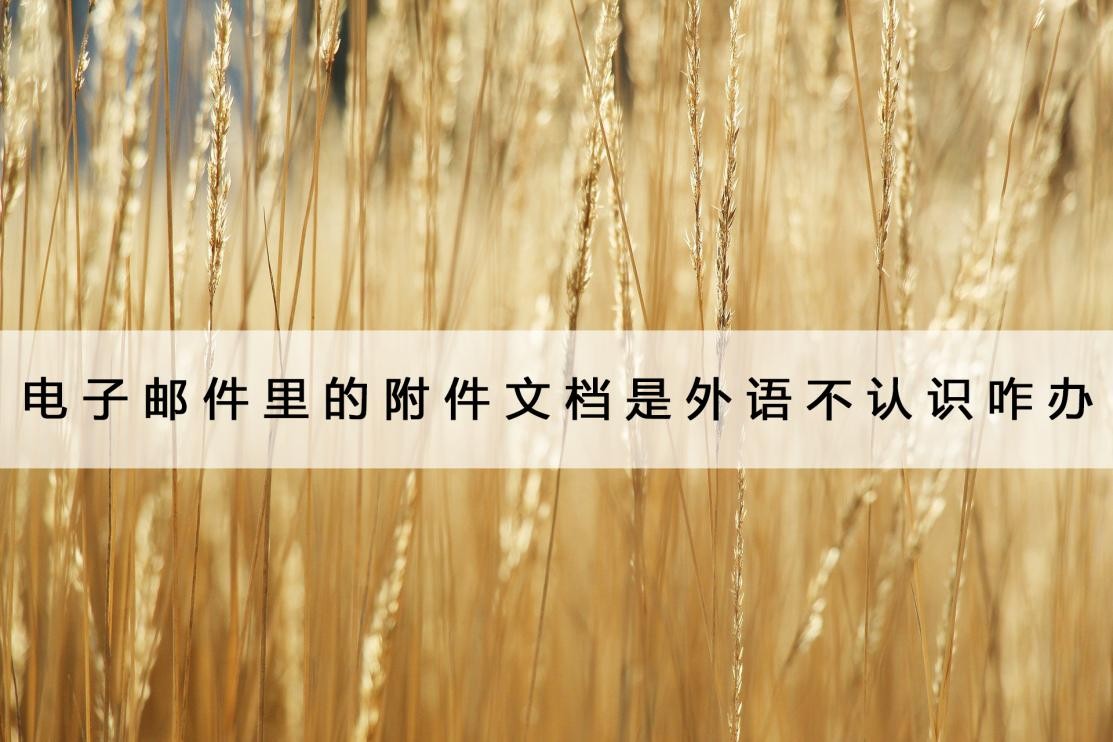 怎么读电子邮件附件,怎么看电子邮件的附件