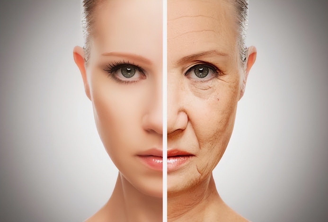 科学家发现，抗衰老注射可以增强猴子的记忆力