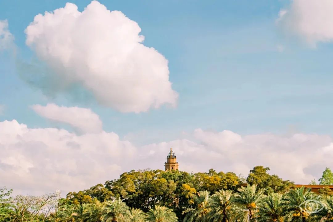 深圳小众胜地有哪些好玩的,深圳的特色风景