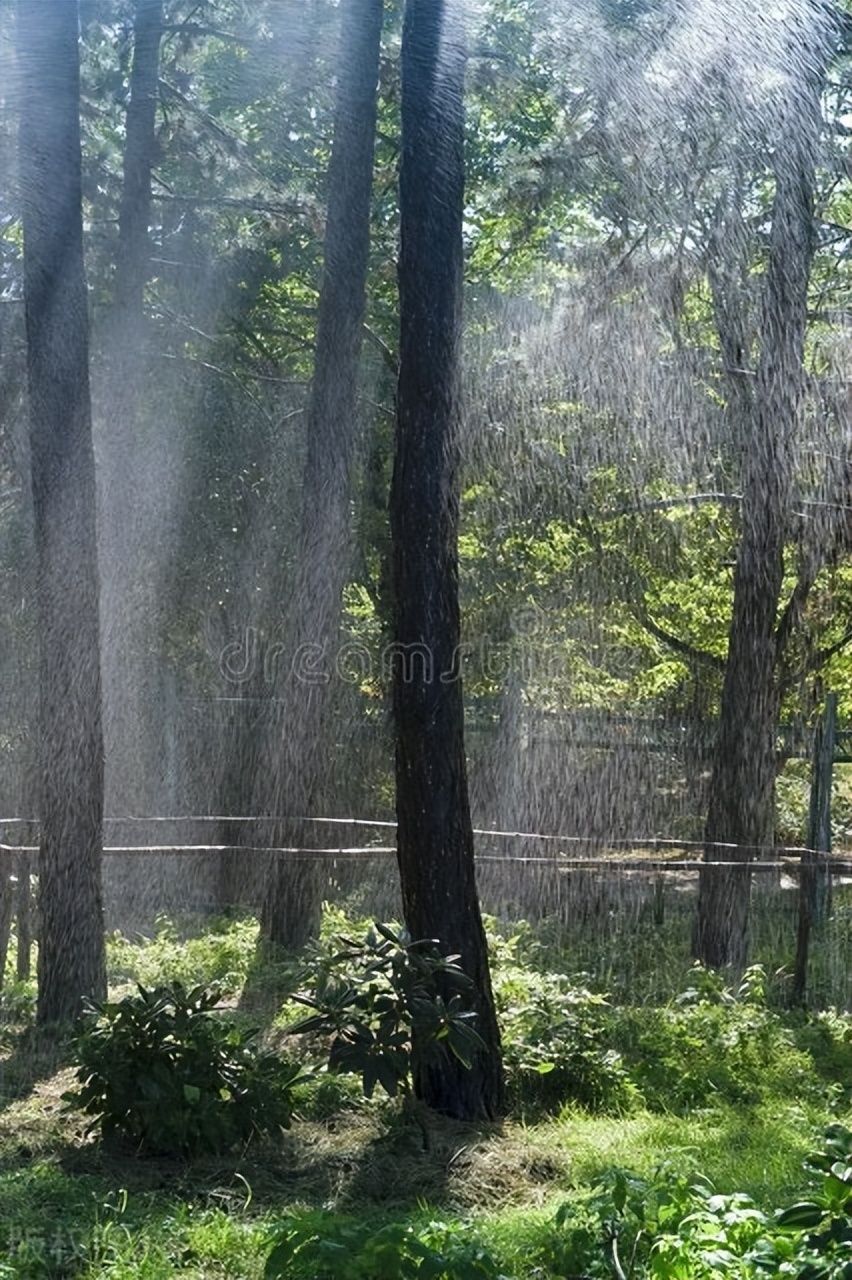 形容你如太阳般温暖的诗词,赞美早上初升的太阳诗词