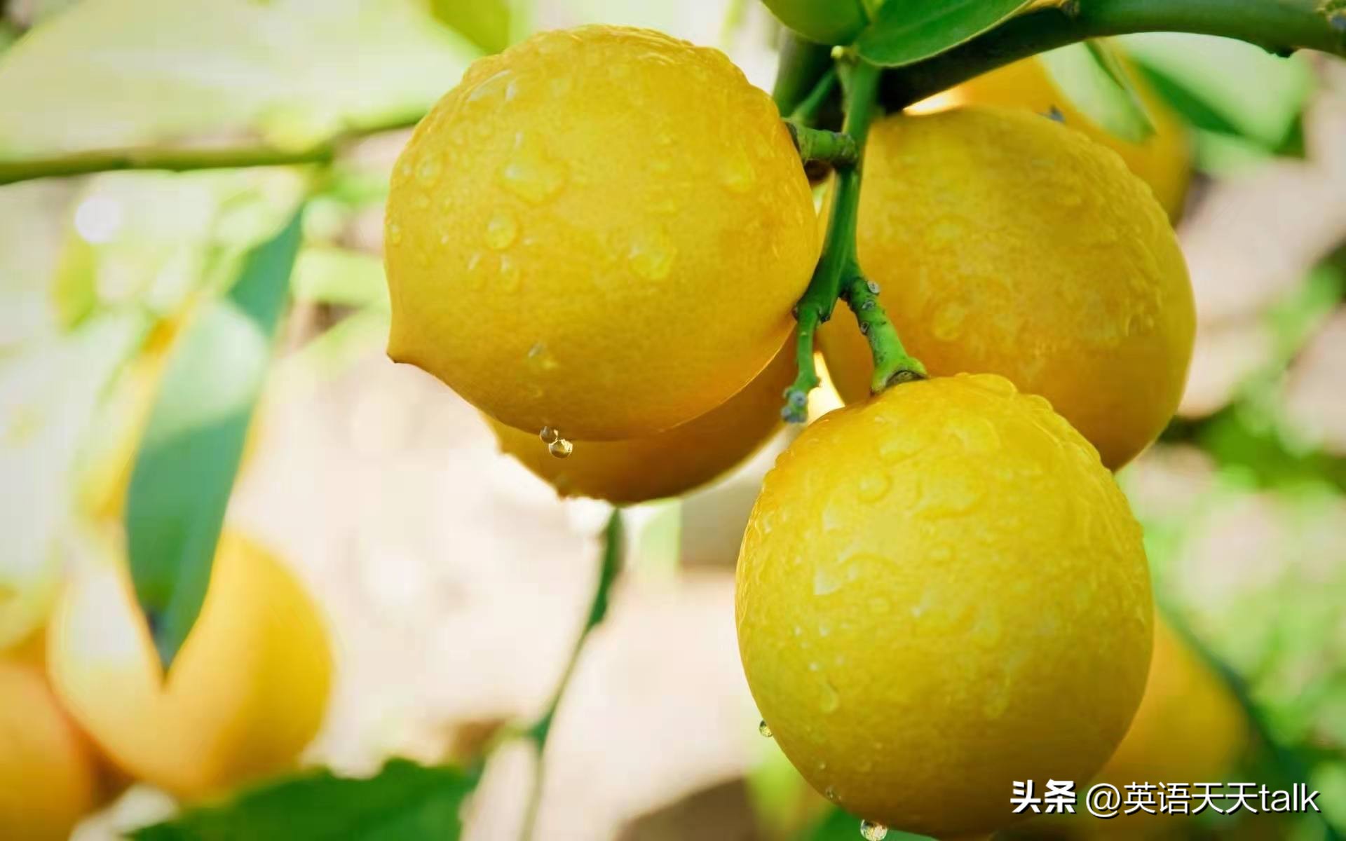 外国人跟你说youaresweet,老外说you是什么意思