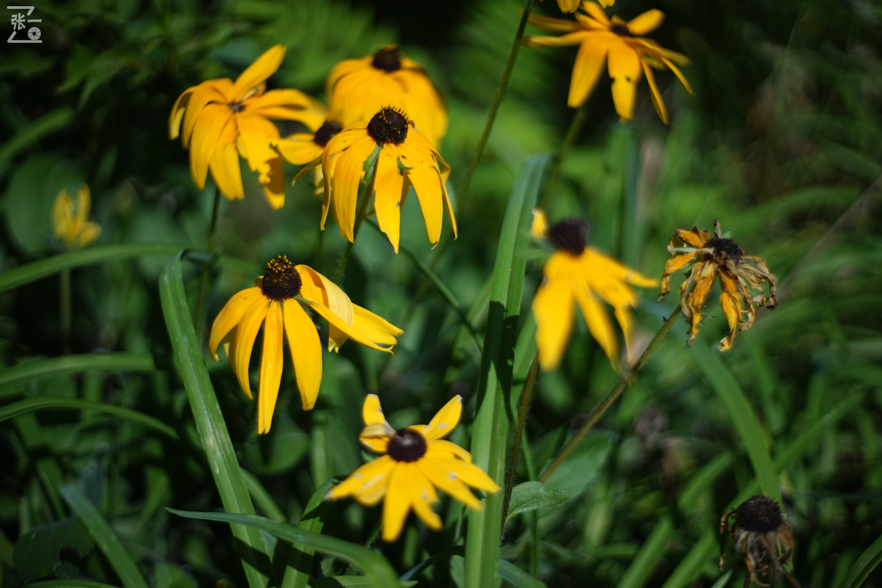 老镜头实拍,老镜头拍北京