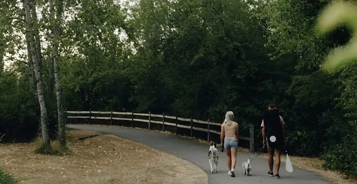 12星座谁对异性吸引力最大,你有哪些隐性的魅力测试