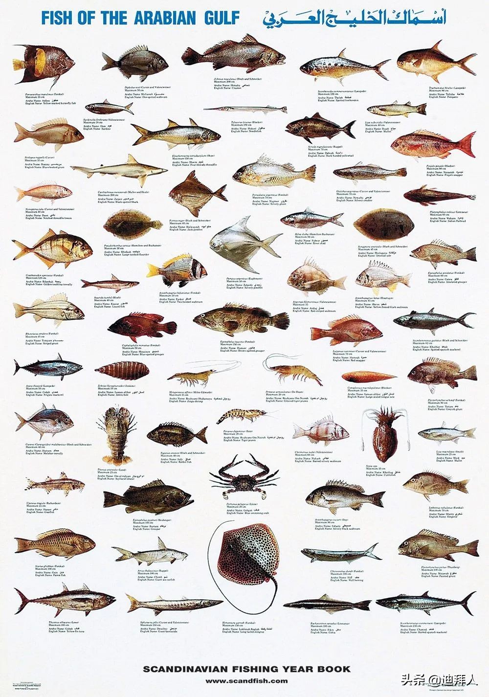 杩嫓瓒呭競娴烽矞,杩嫓瓒呭競娴烽奔