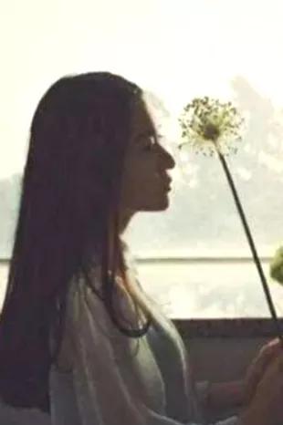 星灵晓圣图片,星灵晓圣是什么