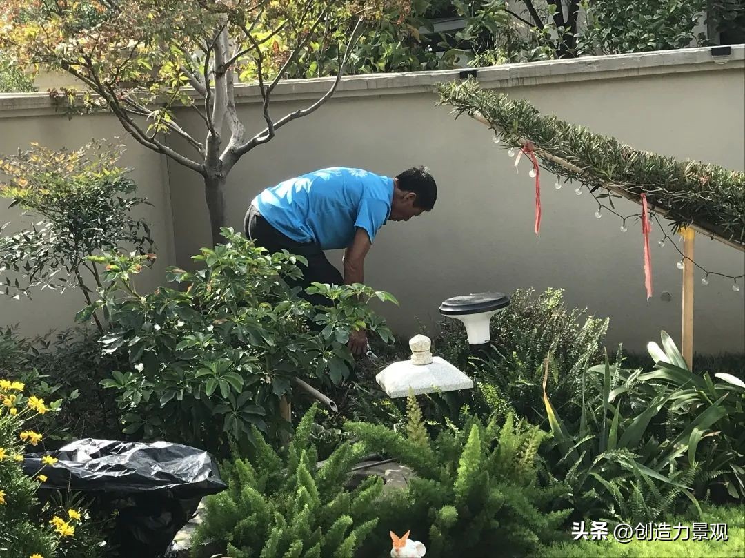 周末回访老客户的文案,回访老客户的主题