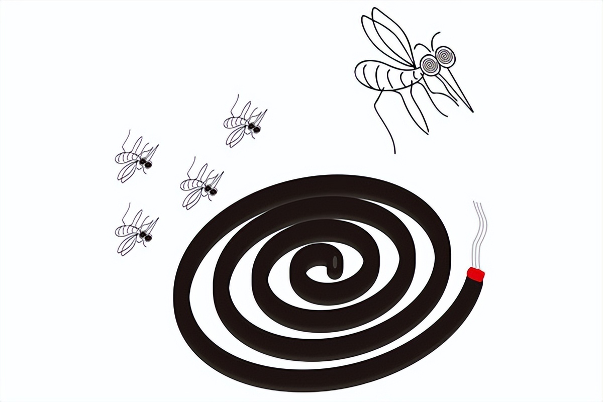 夏季驱除蚊蝇小妙招,夏季蚊虫怎么消灭