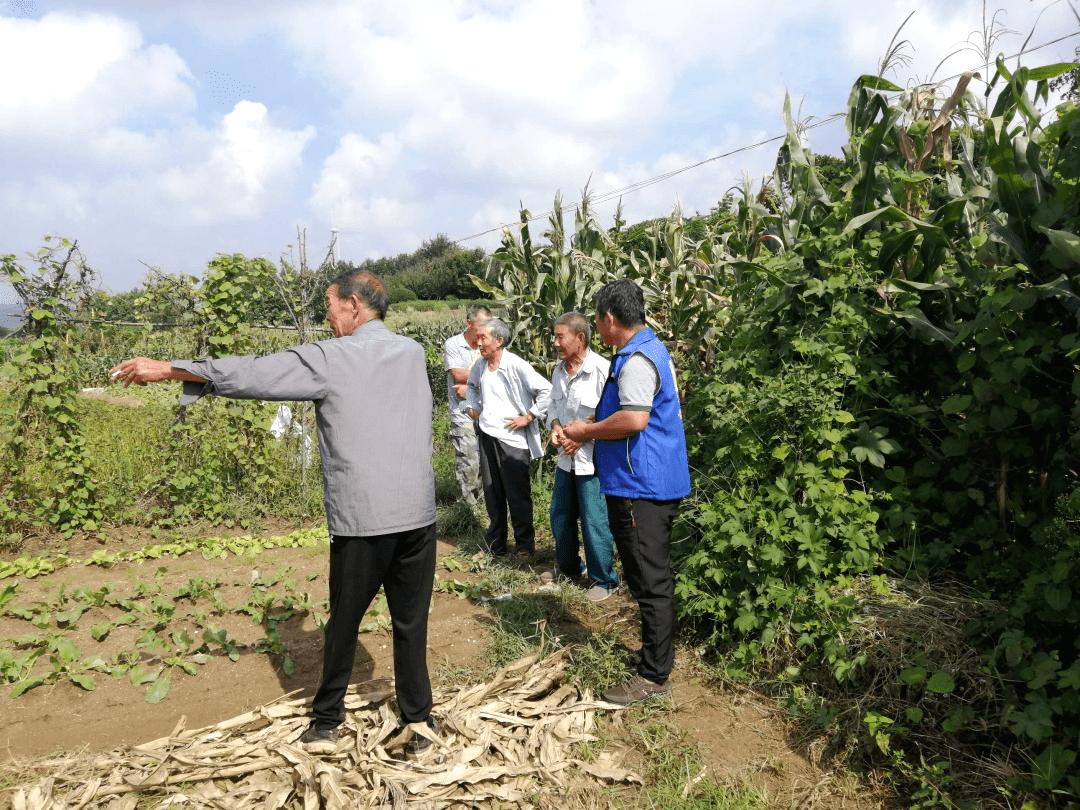 浙江龙泉发现古墓,深山发现古墓宝藏