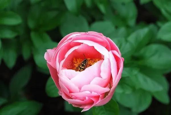 人性的弱点人际关系感悟,看透人性才能处理好人际关系